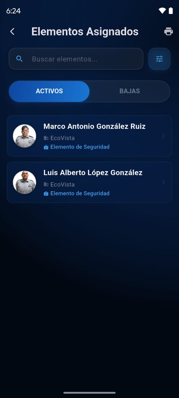 Elementos asignados - pantalla principal